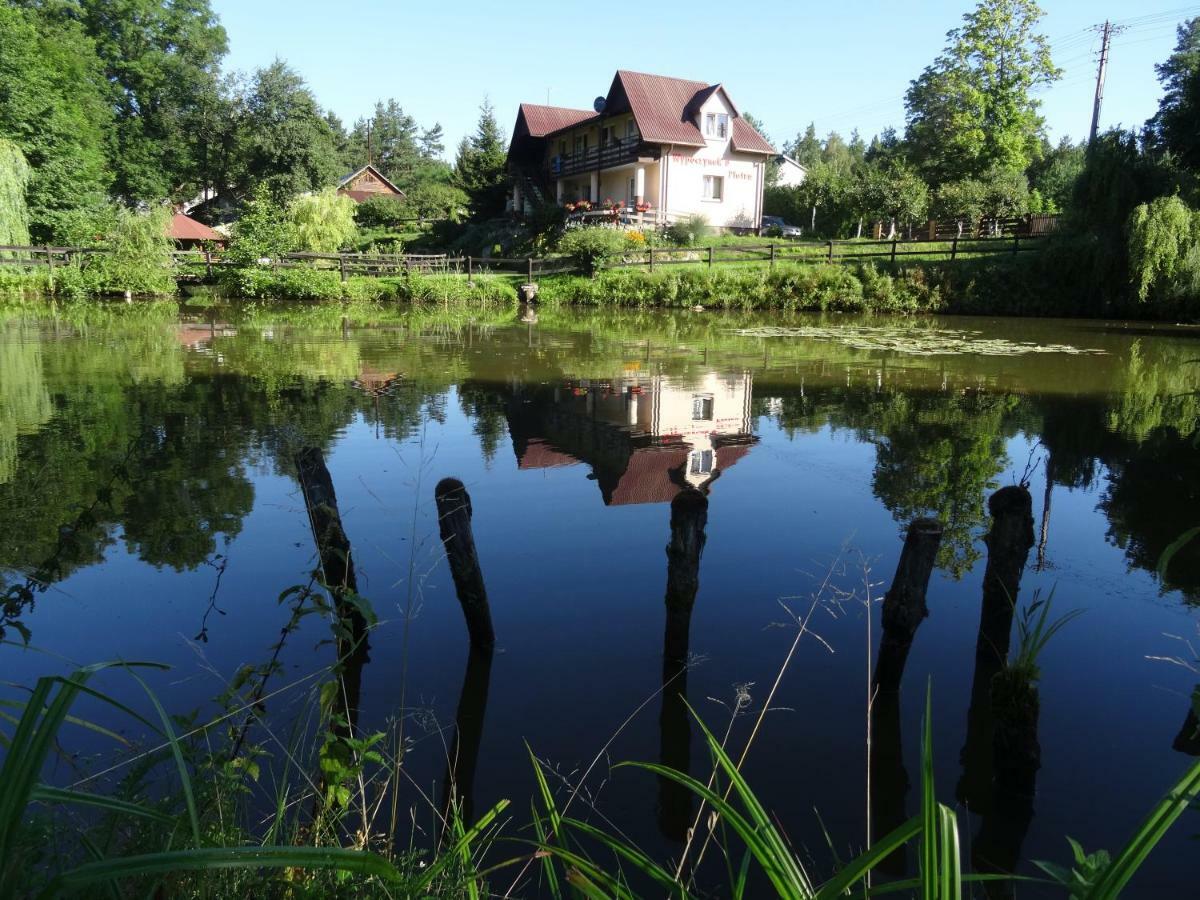 Villa Wypoczynek U Piotra Susiec Exterior foto