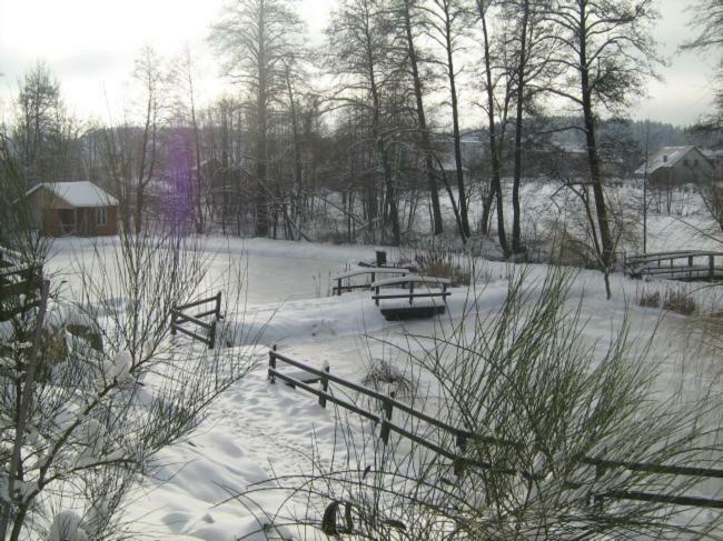 Villa Wypoczynek U Piotra Susiec Exterior foto